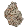 Bulk Super Exotic Flower