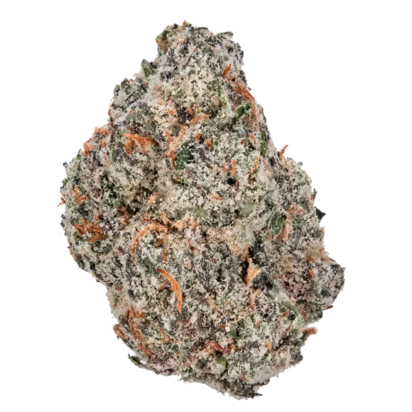 Bulk Super Exotic Flower