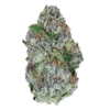 Alien ET